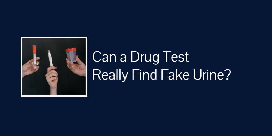 Can a Drug Test Really Find Fake Urine?