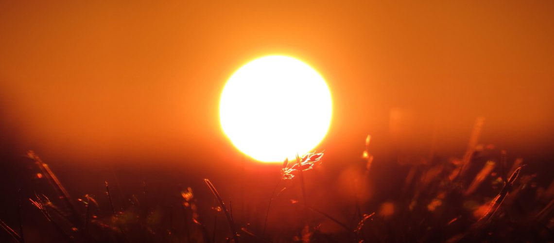zonlicht