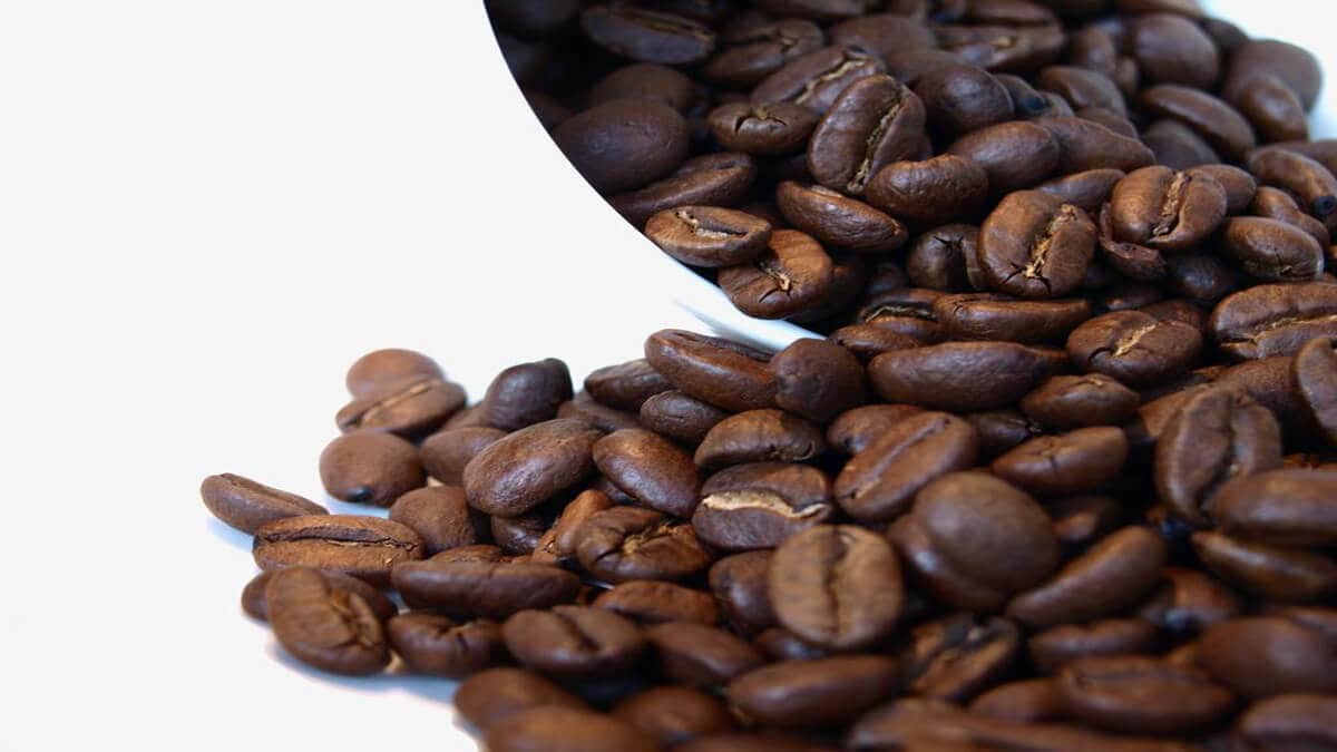 hemp seed coffee beans