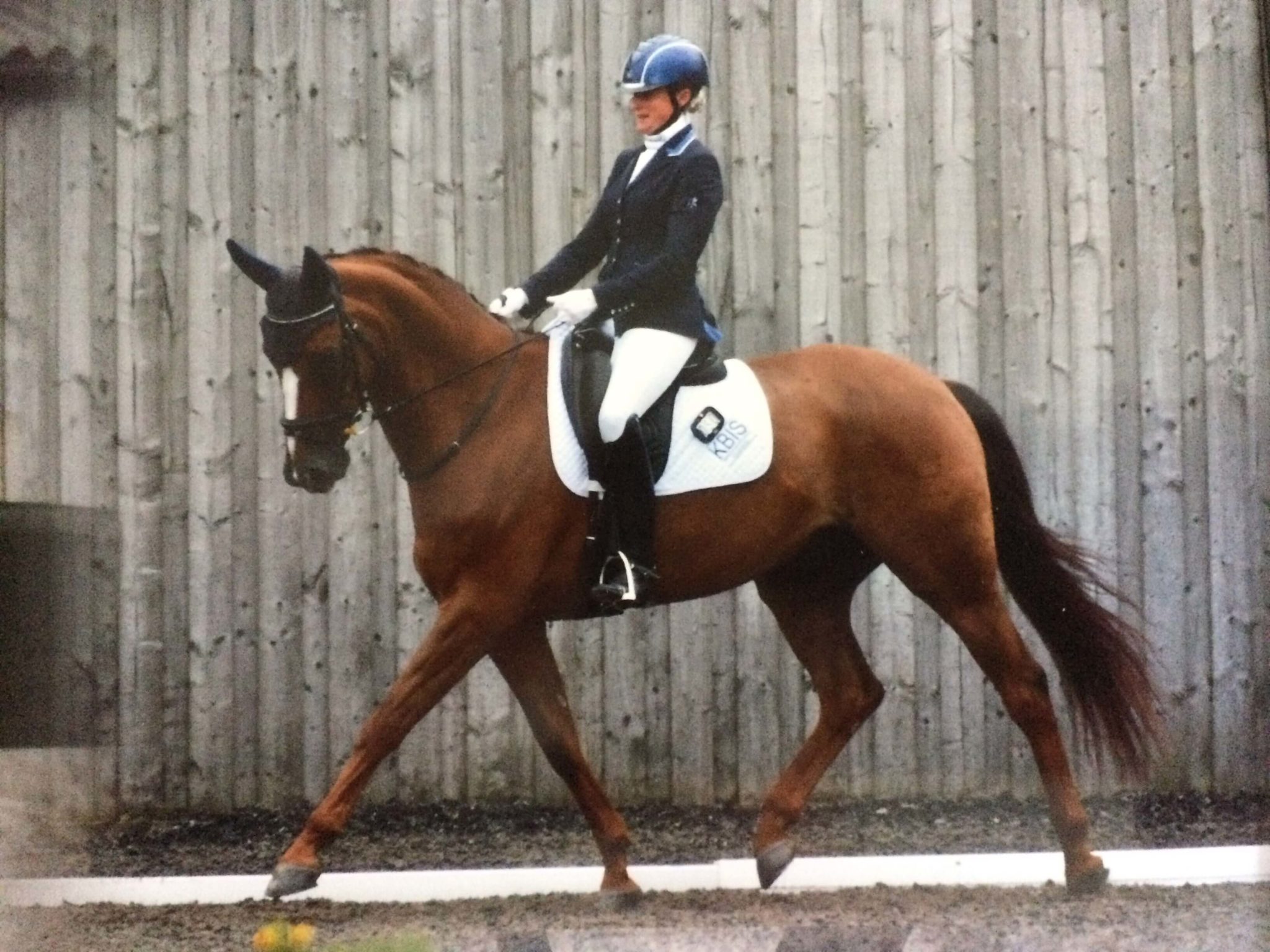 Charlotte Cundall Para Dressage Rider - Hi Form