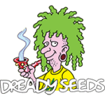 Dready Seeds