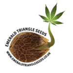 Emerald triangle cannabis seed breeders