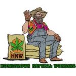 Homegrown natural Wonders cannabis seed breeders