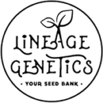 Lineage Genetics Cannabis Seed breeders