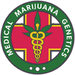 Medical marijuana Genetics Cannabis Seed breeders