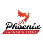 Phoenix cannabis seeds