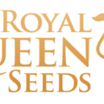 Royal Queen Seeds cannabis seed breeders
