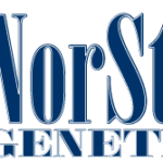 Norstar genetics