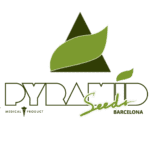Pyramid Seeds cannabis seed breeders logo