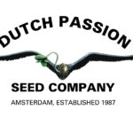 Dutch Passion Cannabis Seeds