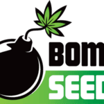 Bomb Seeds