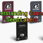 Understanding Cannabis Seed Labels