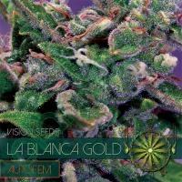 La Blanca Gold Auto Feminised Seeds