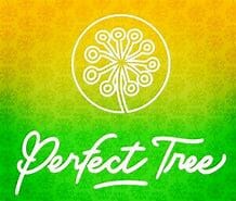 perfect tree seeds