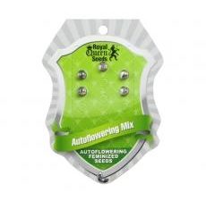 Mix Auto Feminised Seeds