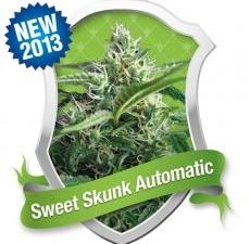 Sweet Skunk Auto Feminised Seeds - RQS