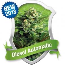 Diesel Auto Feminised Seeds - RQS