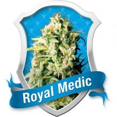 Royal Medic Feminised Seeds