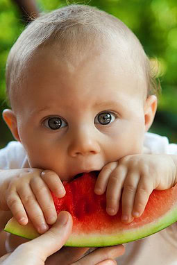 Baby Watermelon