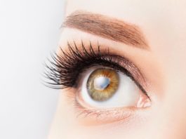 眼睛是靈魂之窗 治療黃斑部病變,自體iPS幹細胞視網膜移植手術已成功