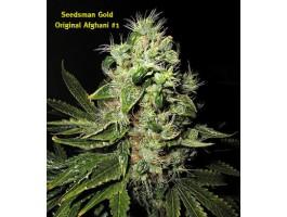 Original Afghani #1 Regular Seeds by Seedsman