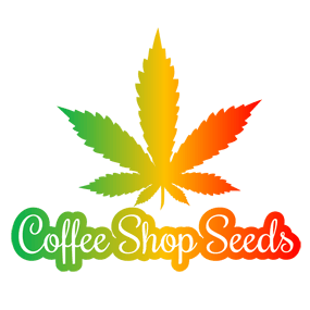 Coffee Shop Seeds