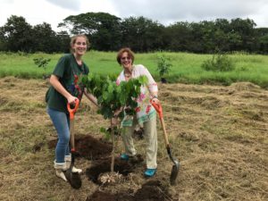 Voluntariado en Costa Rica con animales silvestres
