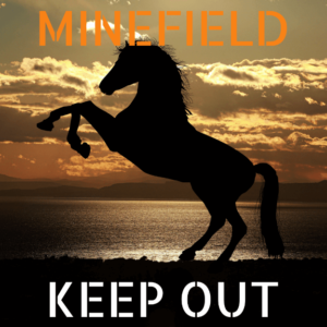 Hi Form Horse Feed Minefield Blog