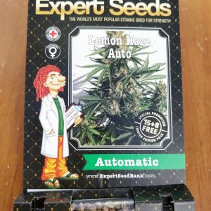 Lemon Haze Auto Feminised Seeds - Image 2