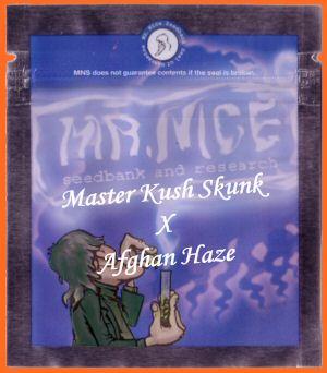 Master Kaze Regular Seeds - 18