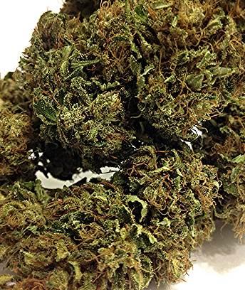 Suzy - Q (High CBD) Feminised Seeds
