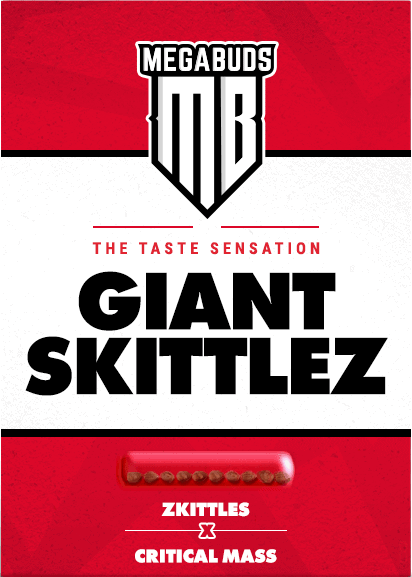 Giant Skittlez Feminised Seeds - Image 2