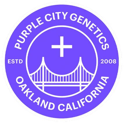 Purple City Genetics