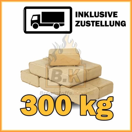 300 kg Buchenholzbriketts ziegelform RUF mit Lieferung - 30 Pakete á 10 kg