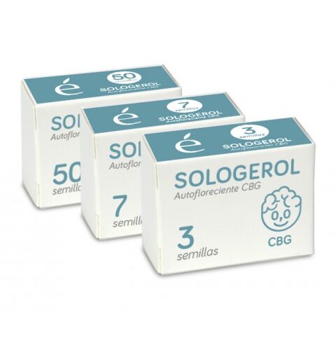 Sologerol CBG Auto Feminised Cannabis Seeds by Elite Seeds