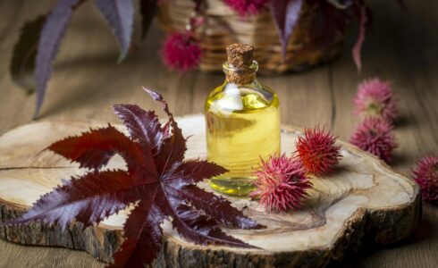Castor oil bottle with castor fruits, seeds and leaf. Ricinus Communis plant oil.