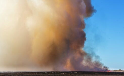 Wildfire smoke can be harmful to health