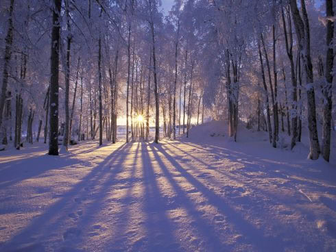 Vijf tips zodat je je gelukkiger voelt in de winter..