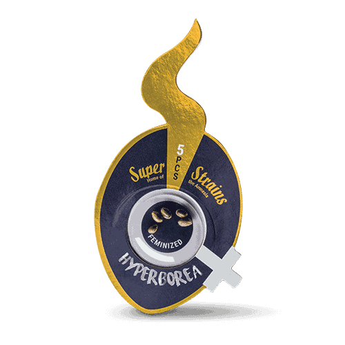 Hyperborea (aka Saga) CBD Feminised Seeds