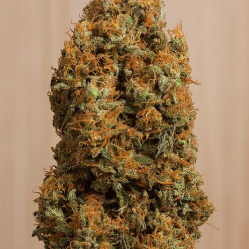 Green Crack CBD Feminised Seeds