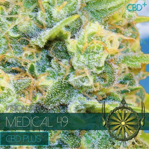 Medical 49 CBD+ Feminised Seeds