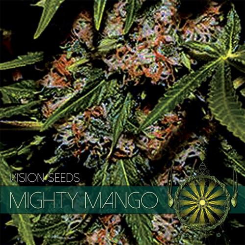 Mighty Mango Bud Feminised Seeds