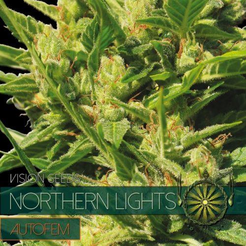 Northern Lights Auto Feminised Seeds - Vision