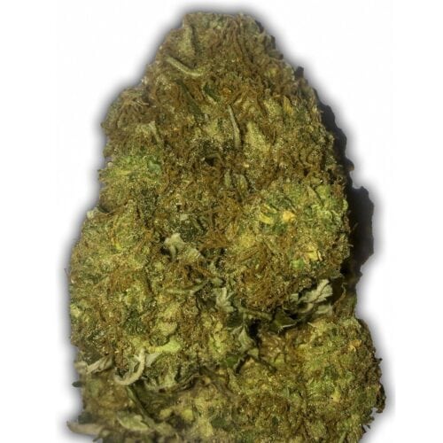 Skunky Monkey Auto Feminised Seeds
