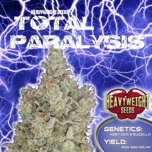 Total Paralysis Feminised Seeds