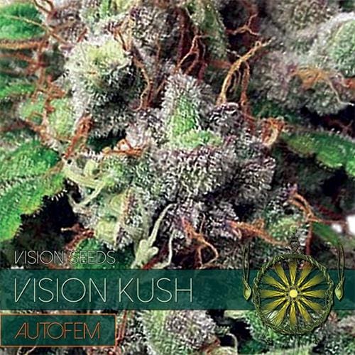 Vision Kush Auto Feminised Seeds