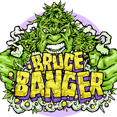 Bruce Banger Feminised Seeds