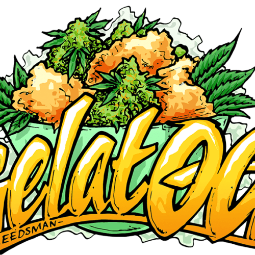 Gelat.OG Feminised Cannabis Seeds by Seedsman