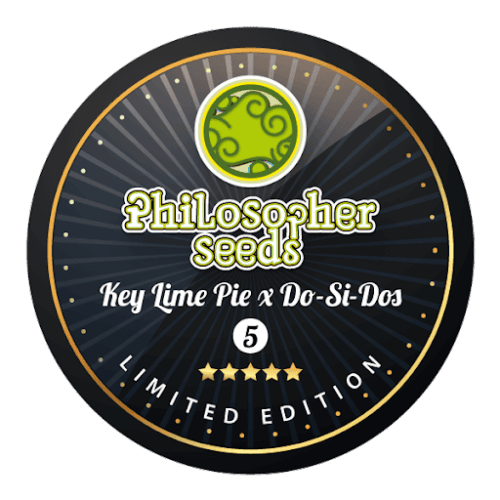 Key Lime Pie x Do-Si-Dos Limited Edition Feminised Seeds - 5