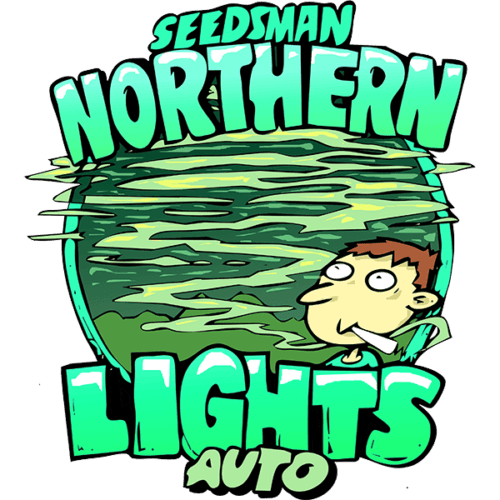 Northern Lights Auto Feminised Cannabis Seeds by Seedsman